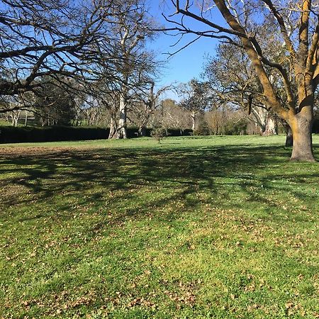 Collingrove Homestead Angaston Extérieur photo