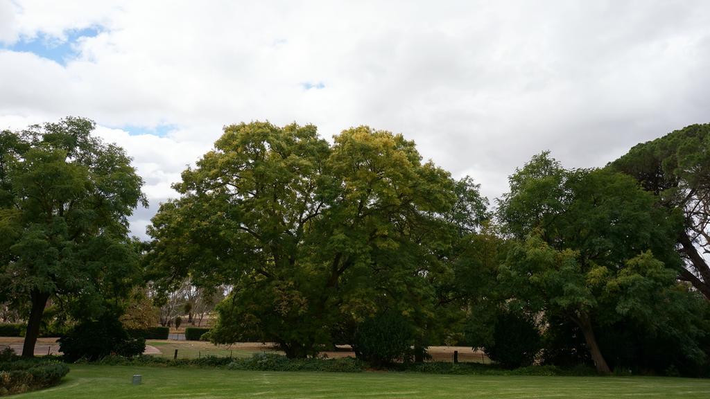 Collingrove Homestead Angaston Extérieur photo