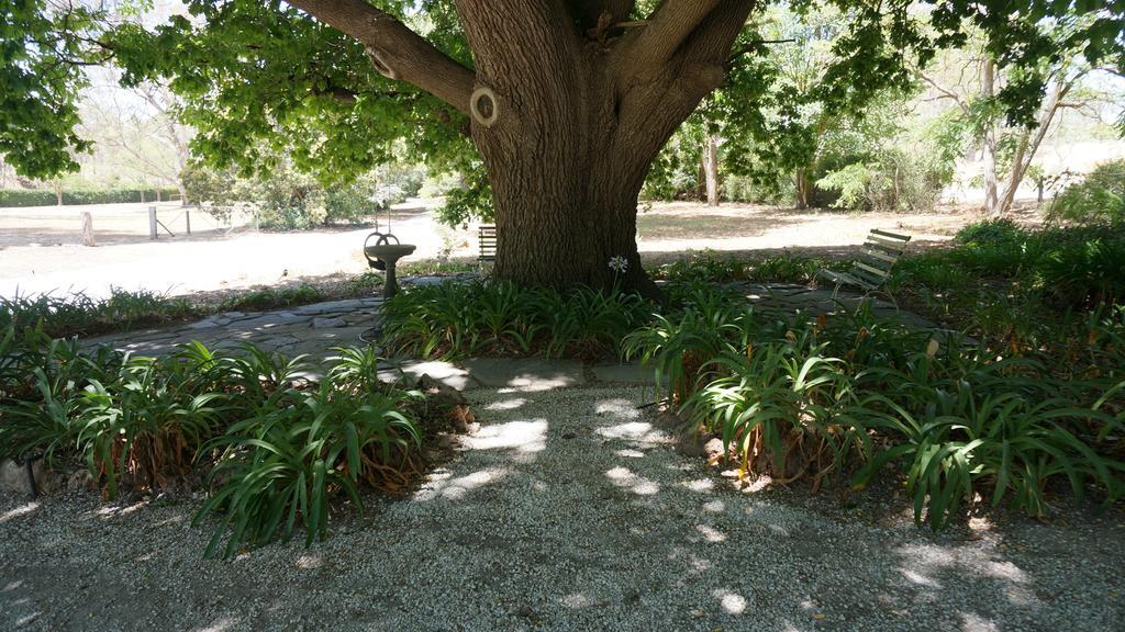 Collingrove Homestead Angaston Extérieur photo