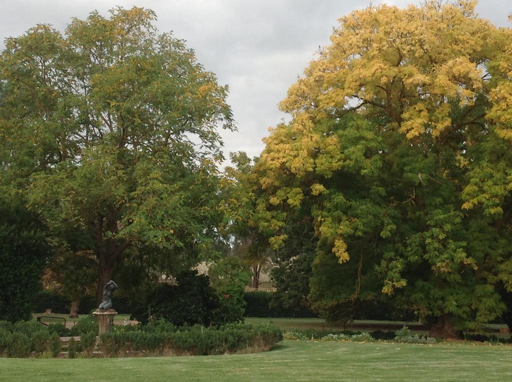 Collingrove Homestead Angaston Extérieur photo