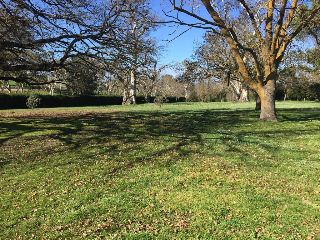 Collingrove Homestead Angaston Extérieur photo