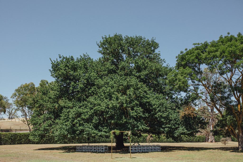 Collingrove Homestead Angaston Extérieur photo